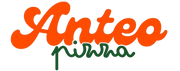Anteo PIZZA – Accueil